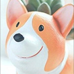 Meet your Posher, Bridget